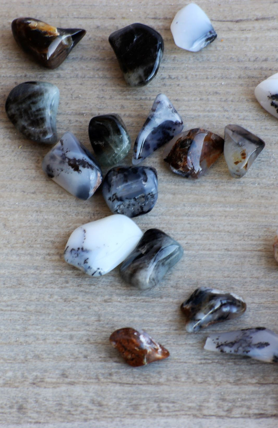 Merlinite (Dendritic Agate) Tumbled Stone